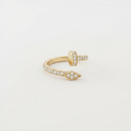 Anillo clavo 