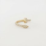 Anillo clavo 