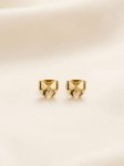 Aretes Moños 